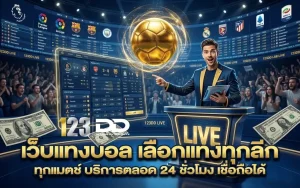 123dd ทางเข้า